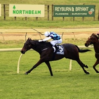 RUNNERS PREVIEW ON 3-MAY PUKEKOHE
